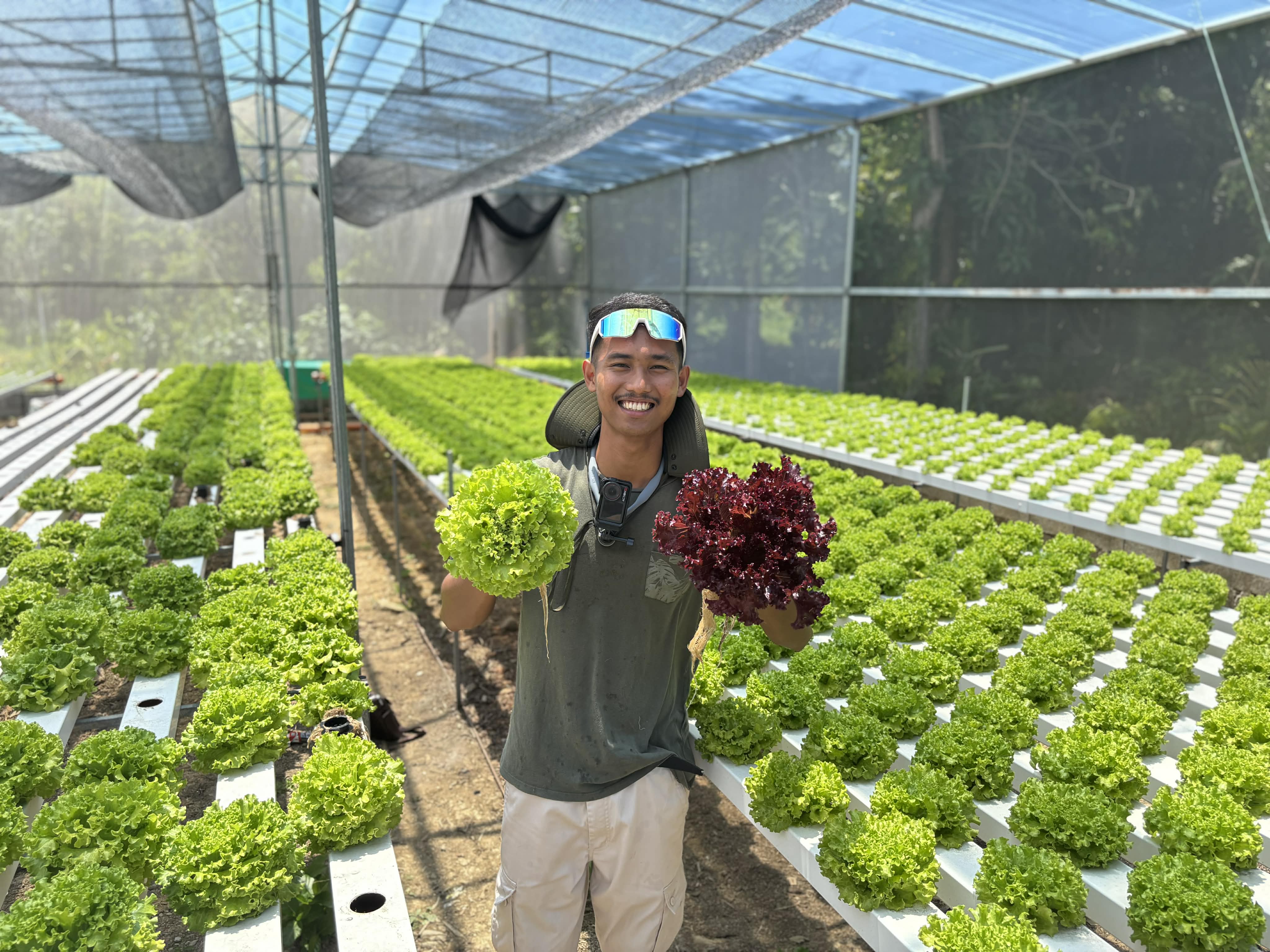 Green House